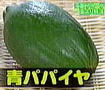 �p�p�C���摜